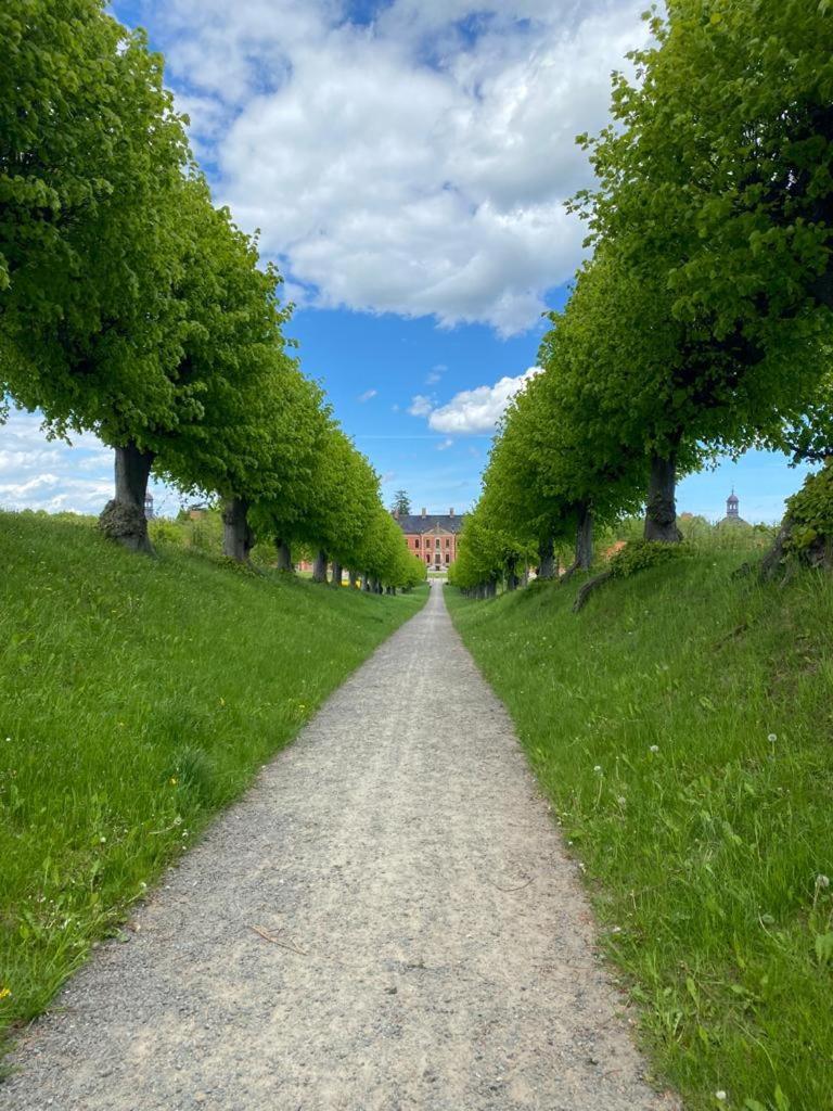 Ferienwohnung Uta Grundshagen Exterior foto